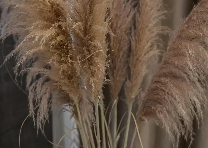 Apartamento Emperor's Luxury - Unique Unesco Site Split